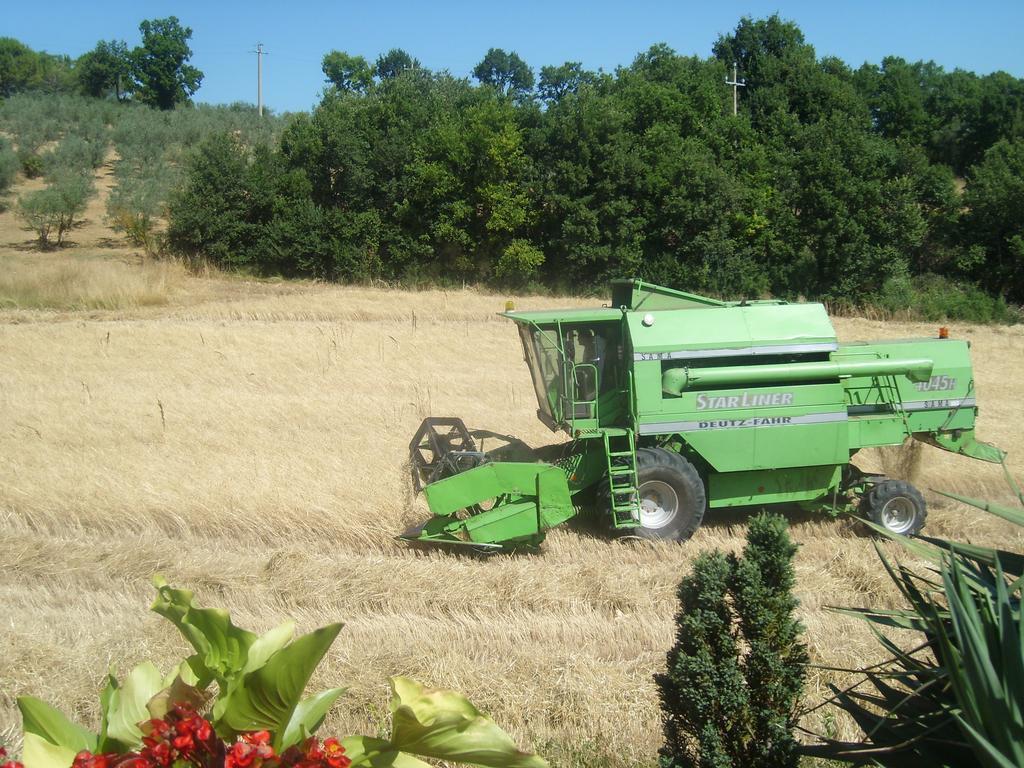 Giano dellʼUmbria Fattoria Del Quondamヴィラ エクステリア 写真