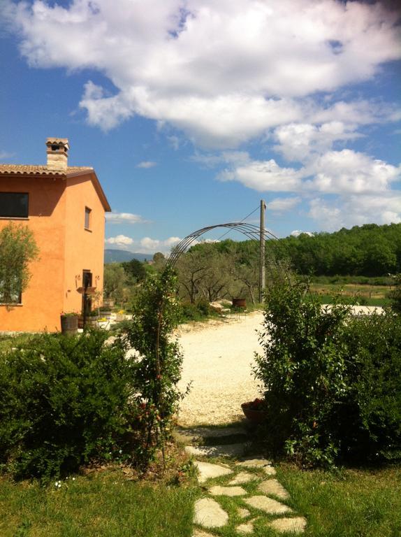 Giano dellʼUmbria Fattoria Del Quondamヴィラ エクステリア 写真